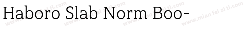 Haboro Slab Norm Boo字体转换